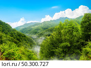 Idyllic summer day in the Durmitor National park. Montenegro. Durmitor National park Montenegro. Стоковое фото, агентство Ingram Publishing / Фотобанк Лори