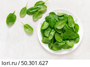 Fresh spinach leaves on white background. Стоковое фото, агентство Ingram Publishing / Фотобанк Лори