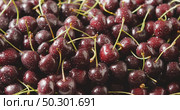 Tracking slow motion video of wet ripe red cherries on a square tray from steel. Cherries background with droplets of water on berries. Soft focus. Shallow depth of field. 4K video.. Close-up of a wet red ripe juicy cherries on a tray of steel. Berries background. Drops of water on berries. Tracking slow motion video in 4K. Soft focus. Стоковое фото, агентство Ingram Publishing / Фотобанк Лори