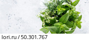 Bunch of aromatic herbs in mortar on kitchen table. Banner. Стоковое фото, агентство Ingram Publishing / Фотобанк Лори