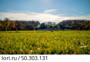 Beautiful green field before Schonbrunn Palace in Vienna, Austria with blurred grass of forefront on a blue sky background on a sunny autumn day.. Green field before Schonbrunn Palace in Vienna on a blue sky background. Стоковое фото, агентство Ingram Publishing / Фотобанк Лори