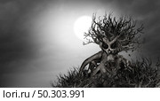 Scary tree background and halloween haunted creepy plant as a monster in a skull shape as a scary zombie growing as a horror theme in a 3D illustration style. Стоковое фото, агентство Ingram Publishing / Фотобанк Лори
