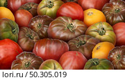 heirloom tomato and fresh ripe natural garden tomatoes background as delicious fruit ingredient. Стоковое фото, агентство Ingram Publishing / Фотобанк Лори