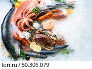 Top view of variety of fresh luxury seafood, Lobster salmon mackerel crayfish prawn octopus mussel red snapper scallop and stone crab, on ice background with icy smoke in seafood market. Стоковое фото, агентство Ingram Publishing / Фотобанк Лори