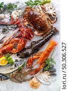 Top view Variety of fresh luxury seafood, Lobster salmon mackerel crayfish prawn octopus mussel red snapper scallop and stone crab, on ice background with icy smoke in seafood market. Стоковое фото, агентство Ingram Publishing / Фотобанк Лори