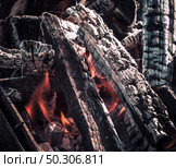 Fire, flames from wood ember for grill or bbq picnic, fume and firewood outdoor on the green field. Fire, flames from wood ember for grill or bbq picnic, fume and firewood outdoor. Стоковое фото, агентство Ingram Publishing / Фотобанк Лори