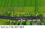 Fields on Bali. Shooting from dron.. bali landscape panoramic view. Стоковое фото, агентство Ingram Publishing / Фотобанк Лори