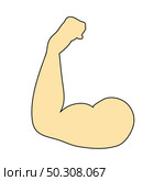 Icon Of Bicep. Editable Outline With Color Fill Design. Vector Illustration. Стоковая иллюстрация, агентство Ingram Publishing / Фотобанк Лори