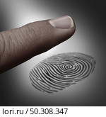 Identity concept fingerprint biometric technology or voter ID in a 3D illustration style. Стоковое фото, агентство Ingram Publishing / Фотобанк Лори