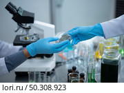 scientist testing his experiment in a science laboratory, chemical substances and equipment. Bio technology concept. Стоковое фото, агентство Ingram Publishing / Фотобанк Лори
