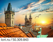 Gull over Prague chimes and Tynsky cathedral. Seagull over cathedral. Стоковое фото, агентство Ingram Publishing / Фотобанк Лори