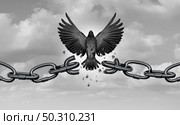 Freedom metaphor as a symbol of liberty and as a concept of chains breaking as bird wings breaking free with 3D illustration elements. Стоковое фото, агентство Ingram Publishing / Фотобанк Лори