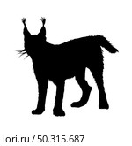 Caracal silhouette. Smooth and clean lines. High detailed Caracal silhouette. Vector Illustration.. wolves and martens silhouettes set. Стоковая иллюстрация, агентство Ingram Publishing / Фотобанк Лори