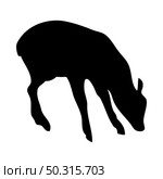 Duiker antelope silhouette. Smooth and clean lines. High detailed Duiker antelope silhouette. Vector Illustration.. deer and goats silhouettes set. Стоковая иллюстрация, агентство Ingram Publishing / Фотобанк Лори