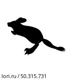 Jerboa Silhouette. Smooth and clean lines. High detailed Jerboa silhouette. Vector Illustration.. rodents silhouettes. Стоковая иллюстрация, агентство Ingram Publishing / Фотобанк Лори