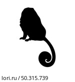 Lion Tamarin Ape Silhouette. Smooth and clean lines. High detailed Lion Tamarin monkey silhouette. Vector Illustration.. apes silhouettes set. Стоковая иллюстрация, агентство Ingram Publishing / Фотобанк Лори