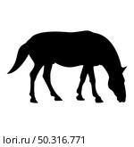 Silhouette steed horse equestrian equine stallion thoroughbred mustang black color vector illustration flat style simple image. Silhouette steed horse equestrian equine stallion thoroughbred mustang black color vector illustration flat style image. Стоковая иллюстрация, агентство Ingram Publishing / Фотобанк Лори