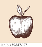 Icon Of Apple. Hand Drawn Sketch. Retro Vintage Design.  Vector Illustration. Стоковая иллюстрация, агентство Ingram Publishing / Фотобанк Лори