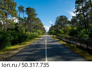 Asphalt road and wooden walkway between Ovar and Esmoriz, Portugal. Atlantico Eco Trail. Стоковое фото, агентство Ingram Publishing / Фотобанк Лори