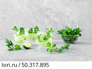 Mint, lime and cucumber refreshing infused detox cocktail with ice, light refreshment summer mocktail. Стоковое фото, агентство Ingram Publishing / Фотобанк Лори
