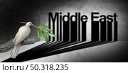 Middle East peace agreement and persian gulf diplomacy concept with a white dove holding an olive branch with a shadow searching for a negotiated peaceful solution to avoid war with 3D render elements. Стоковое фото, агентство Ingram Publishing / Фотобанк Лори