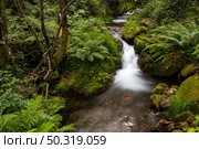 Beautiful water stream in Gresso river Portugal. Long exposure smooth effect. Стоковое фото, агентство Ingram Publishing / Фотобанк Лори