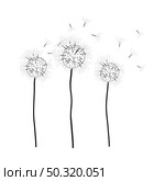 Doodle sketch dandelion with color fill. Simple design suitable for making greeting cards. Vector illustration. Стоковая иллюстрация, агентство Ingram Publishing / Фотобанк Лори