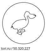 Pelican bird Seabird Waterbird  silhouette in circle round black color vector illustration contour outline style image simple image. Pelican bird Seabird Waterbird silhouette in circle round black color vector illustration contour outline style image . Стоковая иллюстрация, агентство Ingram Publishing / Фотобанк Лори