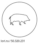 Wild boar Hog wart Swine Suidae Sus Tusker Scrofa  silhouette in circle round black color vector illustration contour outline style image simple image. Wild boar Hog wart Swine Suidae Sus Tusker Scrofa silhouette in circle round black color vector illustration contour outline style image . Стоковая иллюстрация, агентство Ingram Publishing / Фотобанк Лори