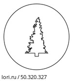 Fir tree Christmas Coniferous Spruce Pine forest Evergreen woods Conifer  silhouette in circle round black color vector illustration contour outline style image simple image. Fir tree Christmas Coniferous Spruce Pine forest Evergreen woods Conifer silhouette in circle round black color vector illustration contour outline style image . Стоковая иллюстрация, агентство Ingram Publishing / Фотобанк Лори