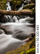 Beautiful water stream in Gresso river Portugal. Long exposure smooth effect. Стоковое фото, агентство Ingram Publishing / Фотобанк Лори