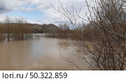 Floodwaters cover landscape near hills with bare trees during overcast weather conditions in early spring. Стоковое фото, фотограф Александра Рублева / Фотобанк Лори