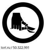 Secateur in hand garden pruner pruning shears Clippers Hand scissors Manual cutting use tool icon in circle round black color vector illustration solid outline style simple image. Secateur in hand garden pruner pruning shears Clippers Hand scissors Manual cutting use tool icon in circle round black color vector illustration solid outline style image. Стоковая иллюстрация, агентство Ingram Publishing / Фотобанк Лори