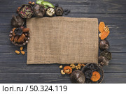 different dried fruits with nuts canvas. Стоковое фото, агентство Ingram Publishing / Фотобанк Лори