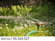 Watering garden with hose at heat summer. Close up. Стоковое фото, фотограф Светлана Лажко / Фотобанк Лори