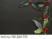 green leaflets with berries. Стоковое фото, агентство Ingram Publishing / Фотобанк Лори