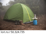 green tent set up forest. Стоковое фото, агентство Ingram Publishing / Фотобанк Лори
