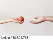 hand giving apple fruit needy person. Стоковое фото, агентство Ingram Publishing / Фотобанк Лори