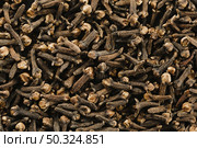 heap cloves. Стоковое фото, агентство Ingram Publishing / Фотобанк Лори