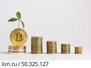 piles bitcoin with plant . Resolution and high quality beautiful photo. piles bitcoin with plant . High quality and resolution beautiful photo concept. Стоковое фото, агентство Ingram Publishing / Фотобанк Лори