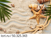 shells starfish sand. Resolution and high quality beautiful photo. shells starfish sand. High quality and resolution beautiful photo concept. Стоковое фото, агентство Ingram Publishing / Фотобанк Лори