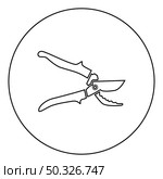 Secateur garden pruner pruning shears Clippers Hand scissors Manual cutting icon in circle round black color vector illustration solid outline style simple image. Secateur garden pruner pruning shears Clippers Hand scissors Manual cutting icon in circle round black color vector illustration solid outline style image. Стоковая иллюстрация, агентство Ingram Publishing / Фотобанк Лори