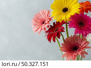 copy space background with gerbera flowers. High resolution photo. copy space background with gerbera flowers. High quality photo. Стоковое фото, агентство Ingram Publishing / Фотобанк Лори