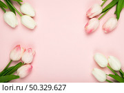 frame blossom tulips with copy space. High resolution photo. frame blossom tulips with copy space. High quality photo. Стоковое фото, агентство Ingram Publishing / Фотобанк Лори