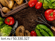top view tomatoes with potatoes veggies. High resolution photo. top view tomatoes with potatoes veggies. High quality photo. Стоковое фото, агентство Ingram Publishing / Фотобанк Лори