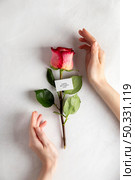 composition pretty mother s day elements. High resolution photo. composition pretty mother s day elements. High quality photo. Стоковое фото, агентство Ingram Publishing / Фотобанк Лори