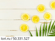 lemons palm leaf table. High resolution photo. lemons palm leaf table. High quality photo. Стоковое фото, агентство Ingram Publishing / Фотобанк Лори
