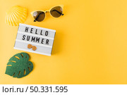 OLYMPUS DIGITAL CAMERA. High resolution photo. overhead view scallop sunglass leaf hello summer light box yellow backdrop. High quality photo. Стоковое фото, агентство Ingram Publishing / Фотобанк Лори