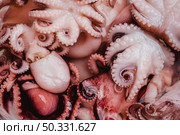 raw octopus background. High resolution photo. raw octopus background. High quality photo. Стоковое фото, агентство Ingram Publishing / Фотобанк Лори