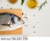 OLYMPUS DIGITAL CAMERA. High resolution photo. top view fresh fish condiments herbs. High quality photo. Стоковое фото, агентство Ingram Publishing / Фотобанк Лори